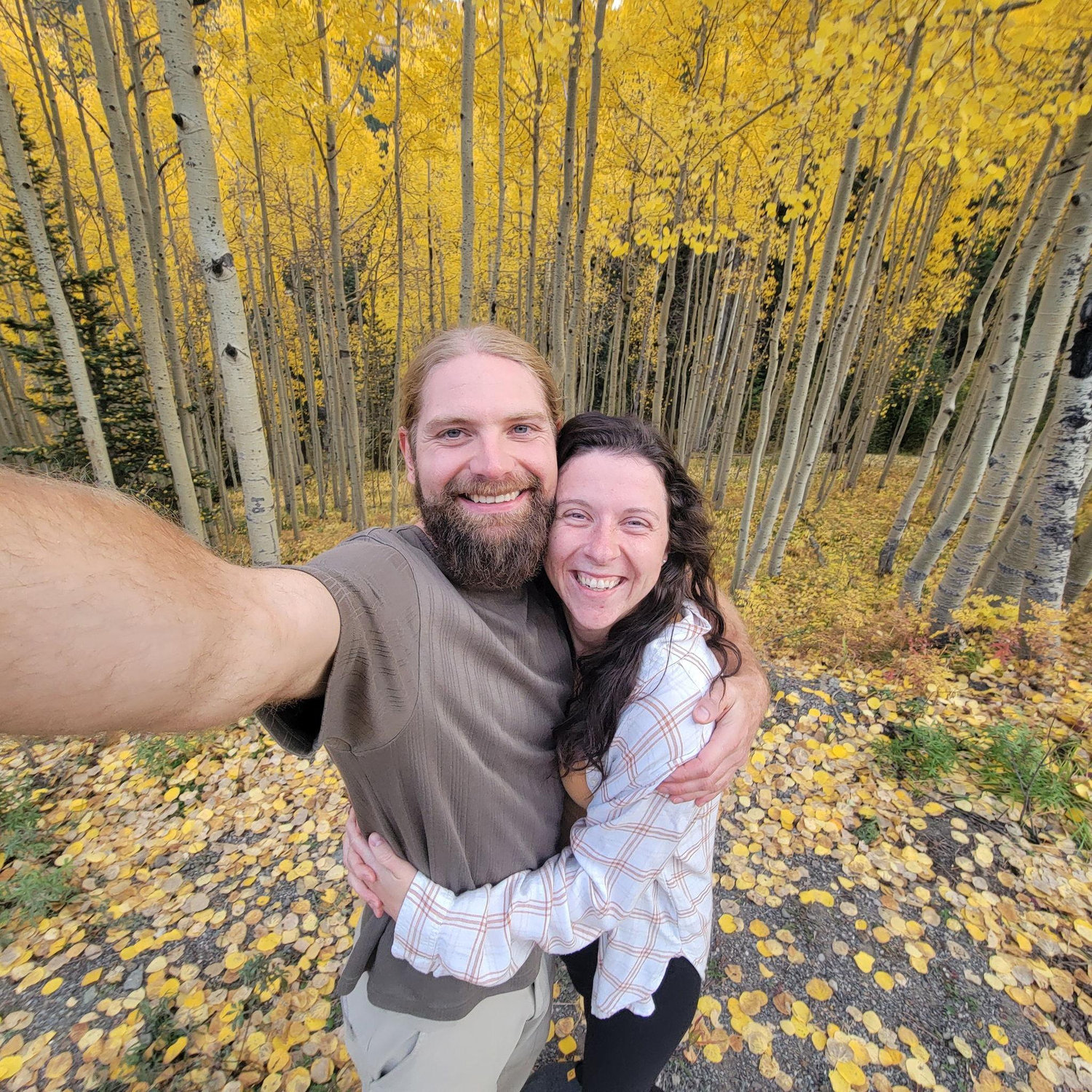 The golden aspens are my favorite!
