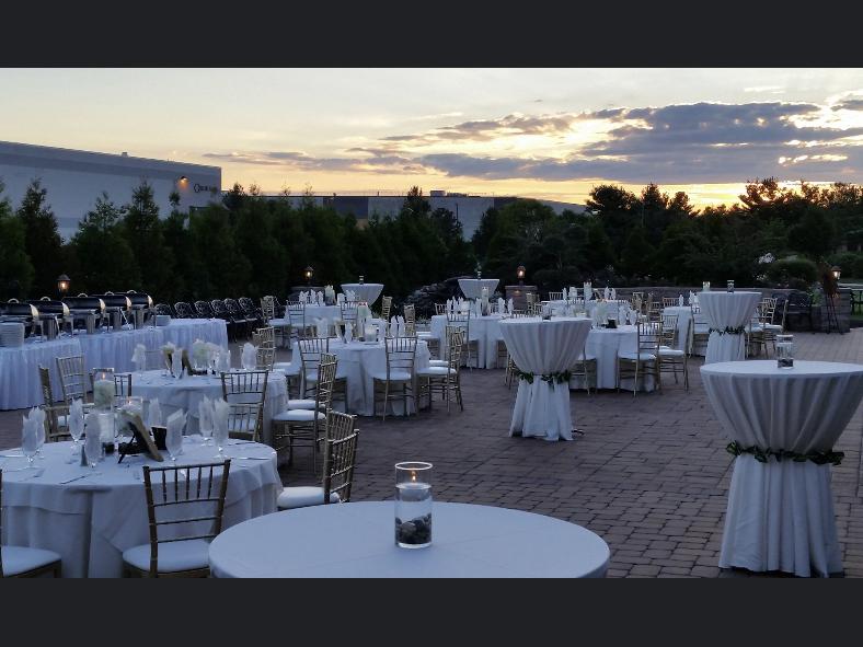 The Wedding Website of Taheerah Salley and Yemi Cole