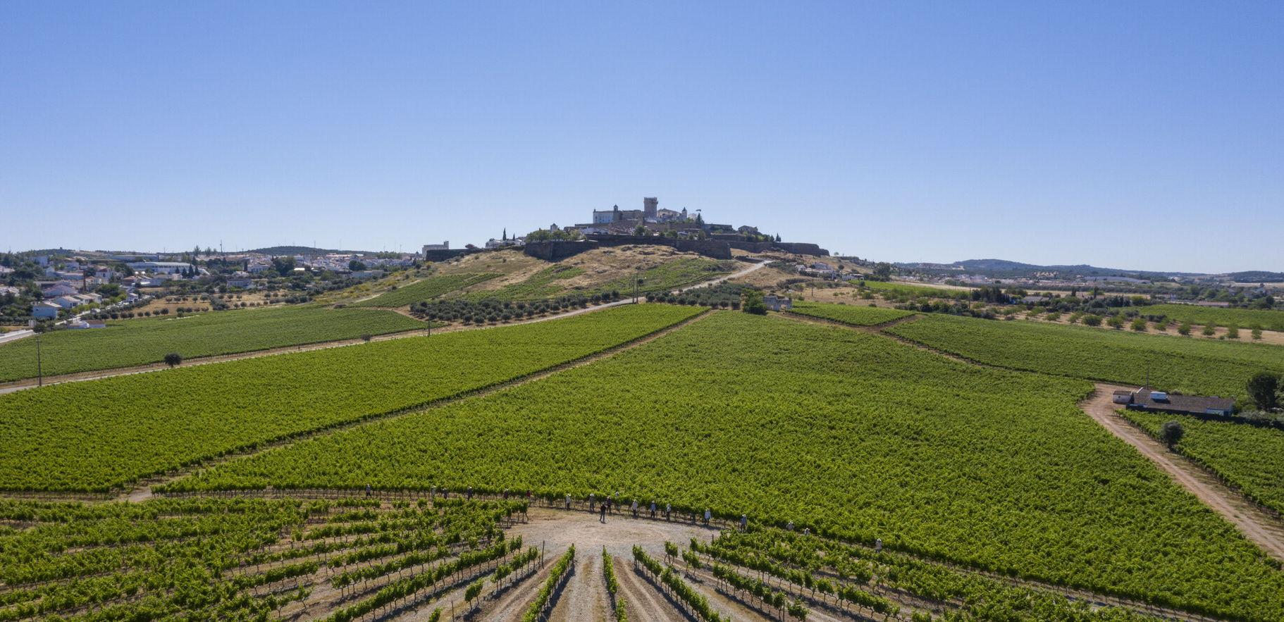 The Wedding Website of Christopher Six and Lindsay Palma