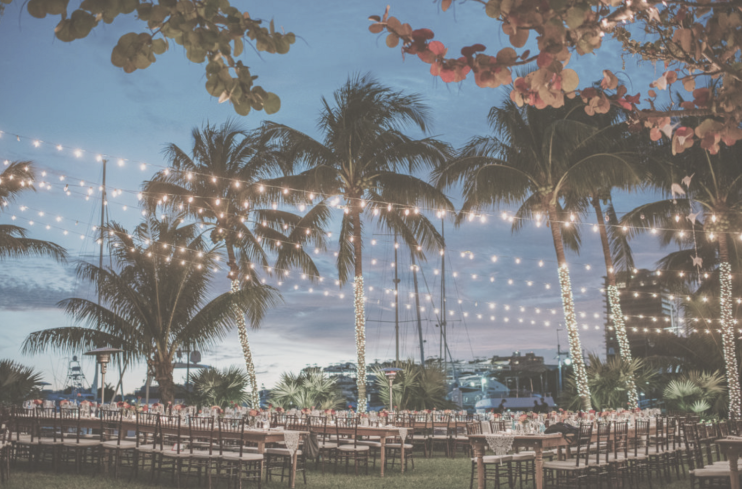 The Wedding Website of Gabriella Dickens and Nicholas Lazares