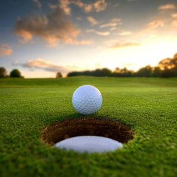 Aaron's Golf Fund