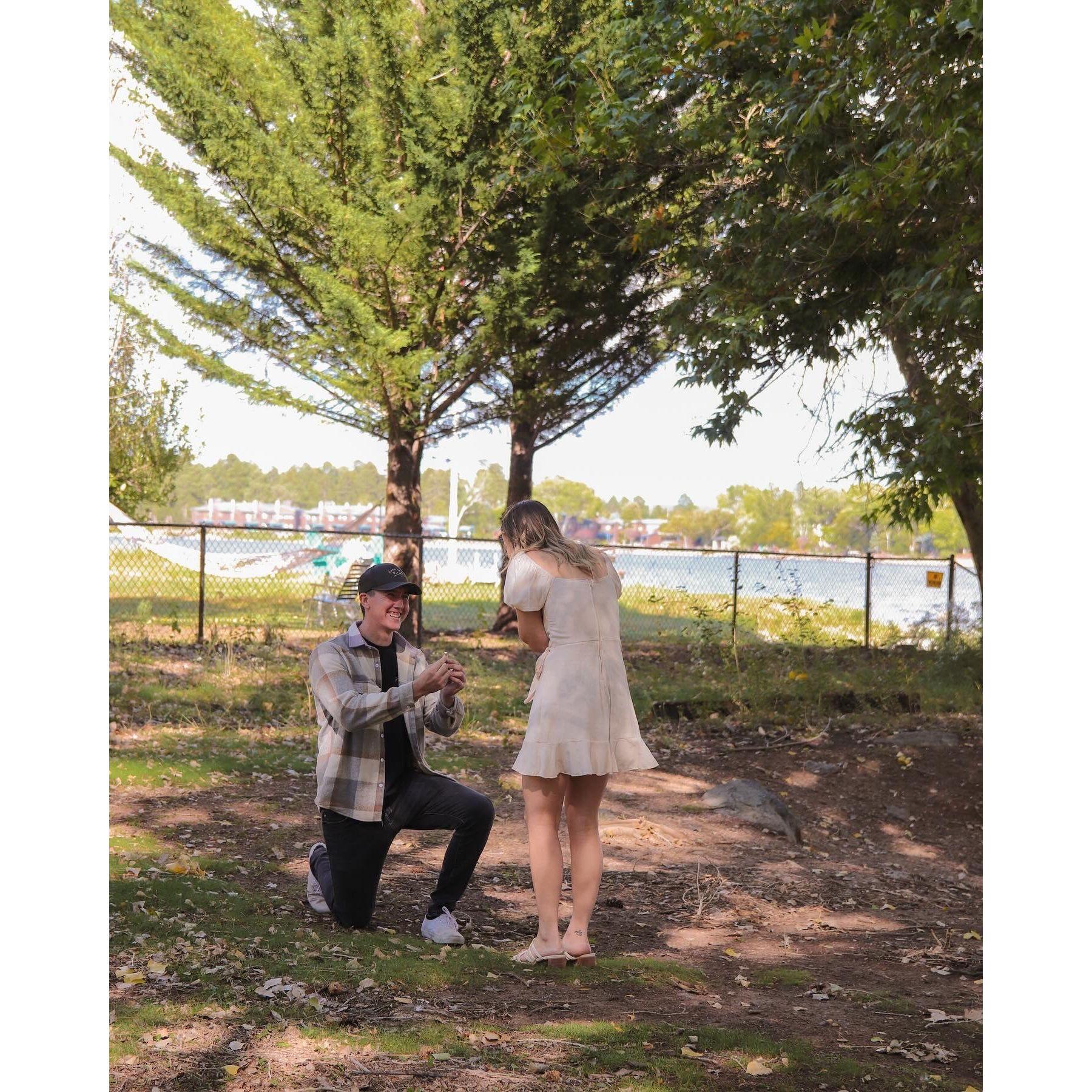 The proposal!