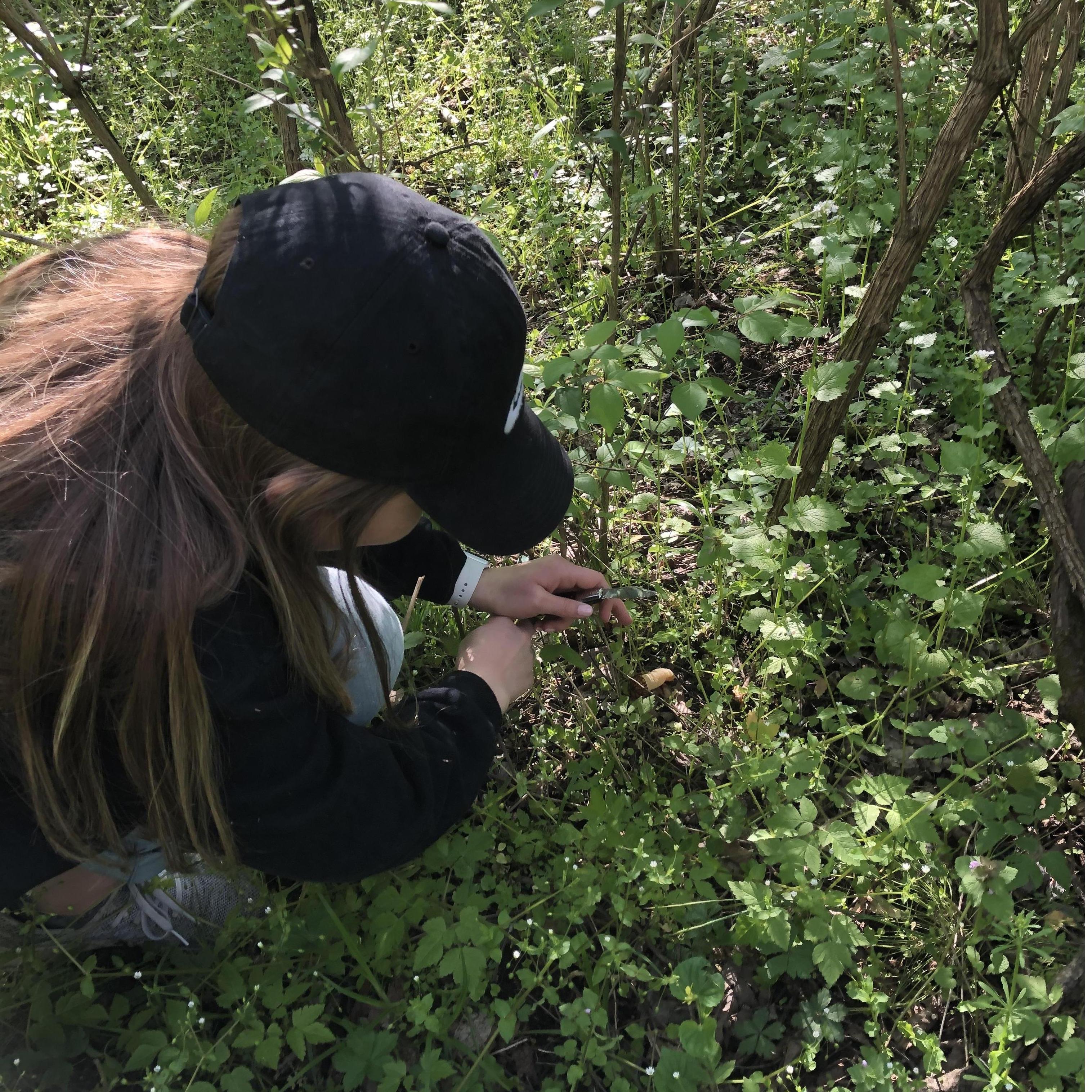 The first time Gabe took Lindsey mushroom hunting. -April 2020