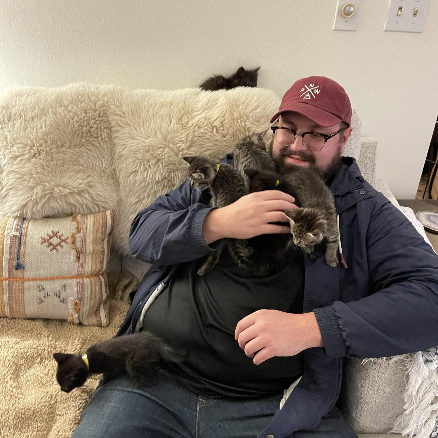 Kitten love