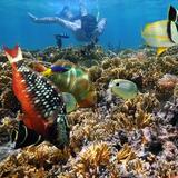 Hanauma Bay Nature Preserve