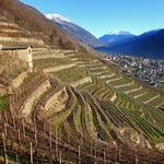 Valtellina