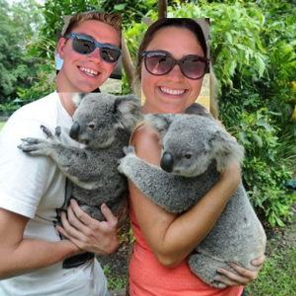 Koala Sanctuary Experience