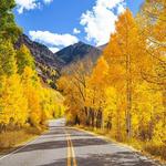 Guanella Pass