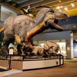 Saint Louis Science Center