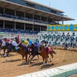 Del Mar Fairgrounds