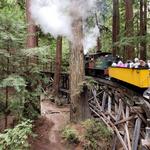 Roaring Camp Railroads