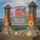 Mercier Orchards