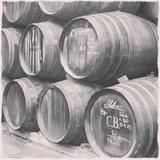 Bodega Alvear