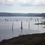 Port Gamble Forest Heritage Park