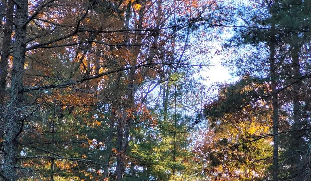 The Wedding Website of Krystal Hovey and Michael Andrew