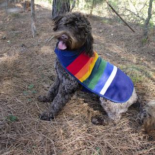 Crater Lake Pet Coat
