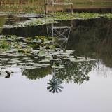 RSU Conservation Education Reserve
