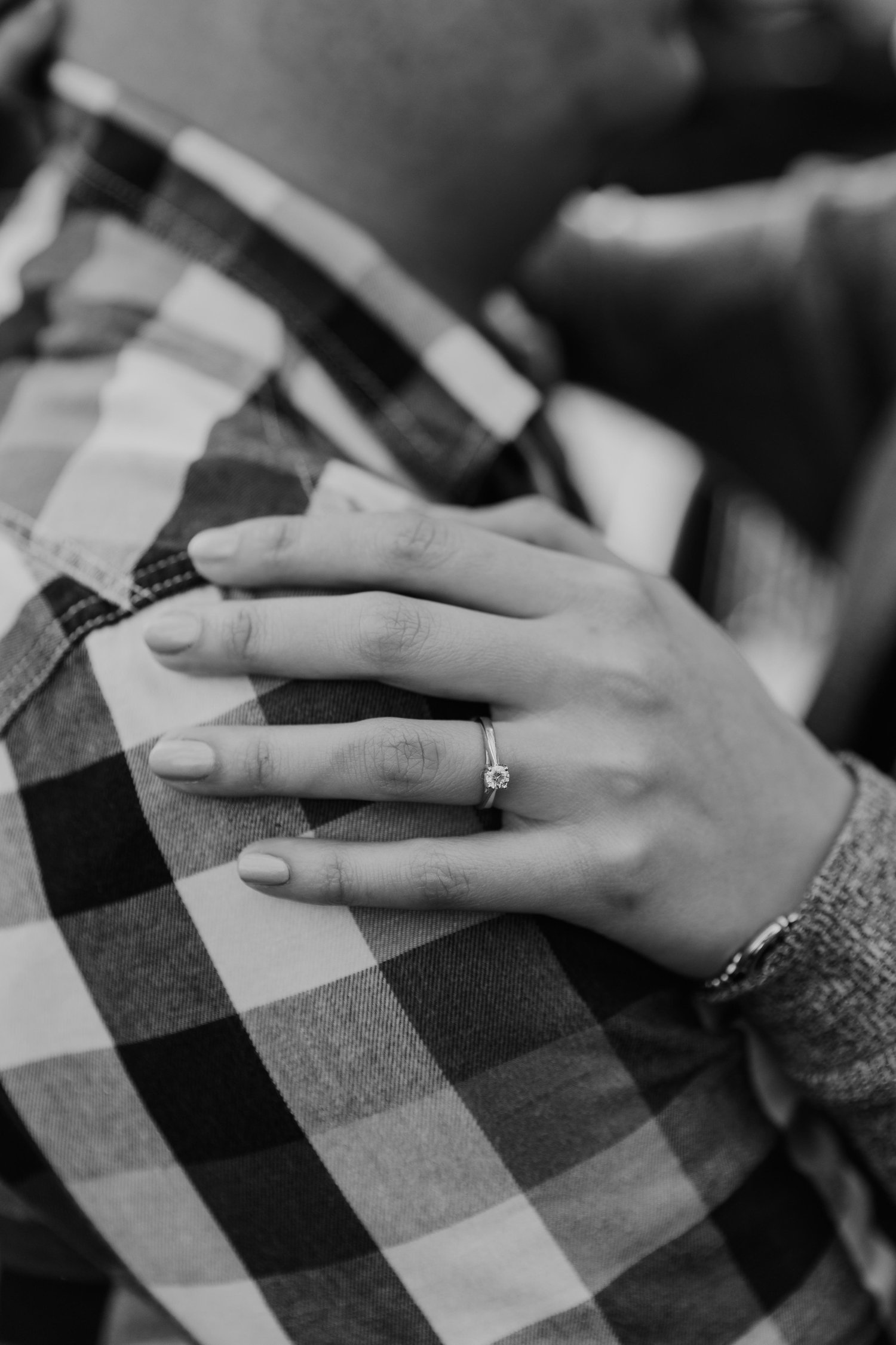 The Wedding Website of Elina Romero and David Graham