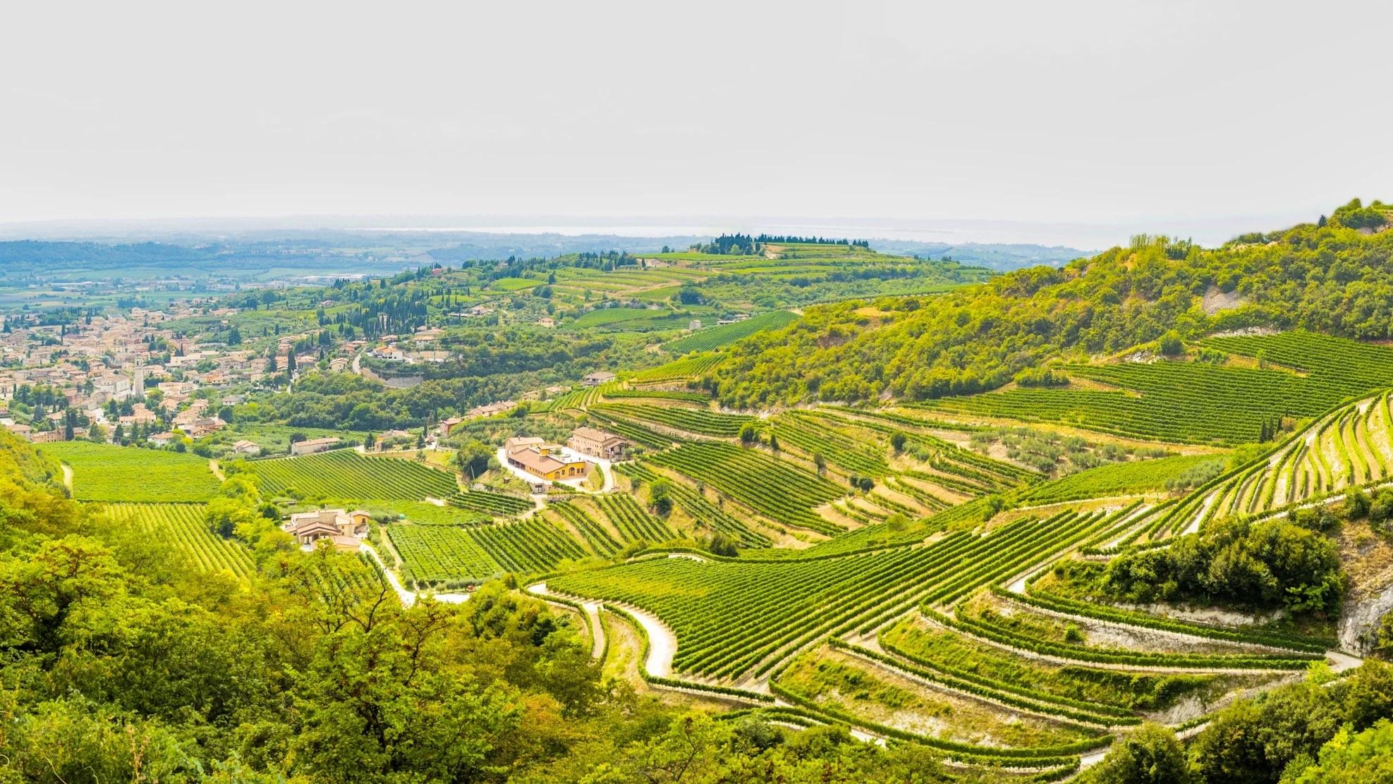 The Wedding Website of Giorgia Ricciardi and Jayson Postle