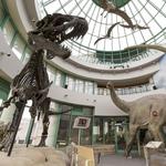 North Carolina Museum of Natural Sciences