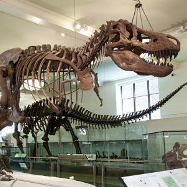 Museum Membership for Two