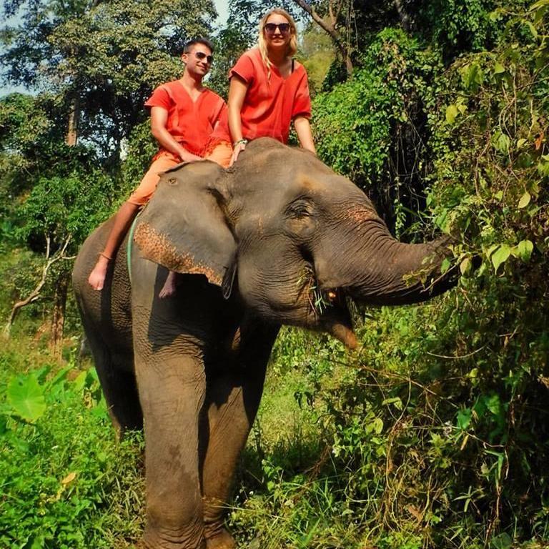 Chiang Mai - we loved our elephant buddy!