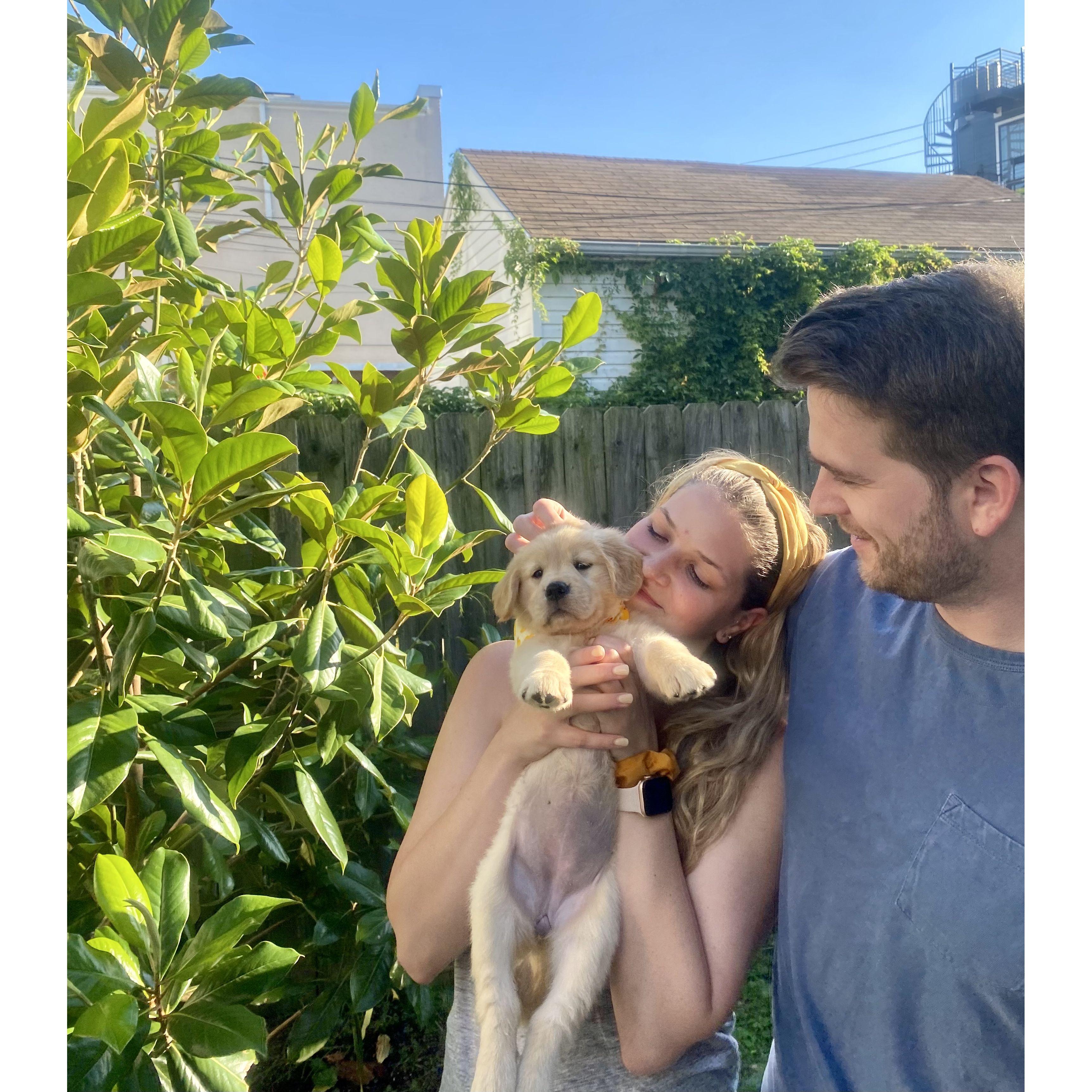 The day we took Sunny home.