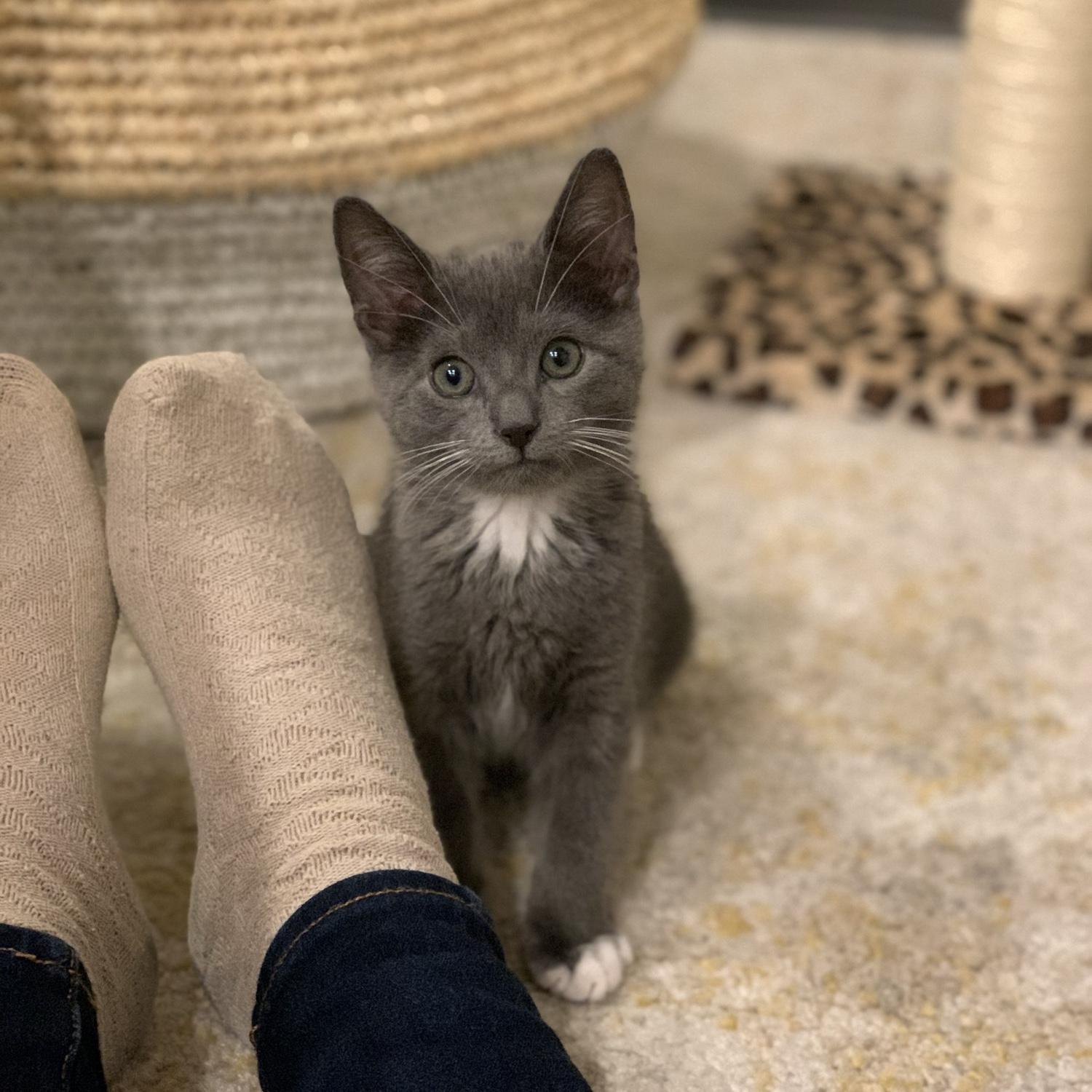 Baby Pepper