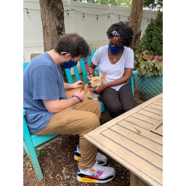 September 2020. Raleigh, NC. Dustin and Tia visit a local animal shelter and instantly fall in love with Tan. He'll join the fam a couple of weeks later!