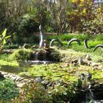 Kanapaha Botanical Gardens