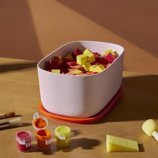 Small Storage Bin with Lid, Set of 2