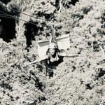 Zipline Canopy Tours