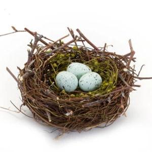 Help us build a nest egg