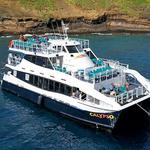 Molokini & Turtle Town Snorkel Tour