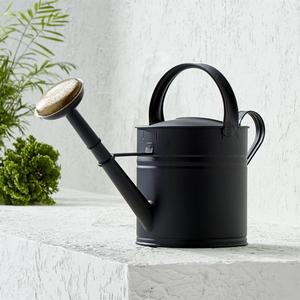 Medium Matte Black Watering Can