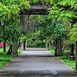 Brooklyn Botanic Garden