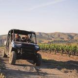 Sanford Winery All-Terrain Vineyard (ATV) Experience