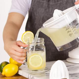 Citrus Juicer