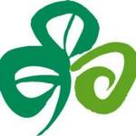 Discover Ireland Website