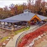 Sand Creek Vineyard