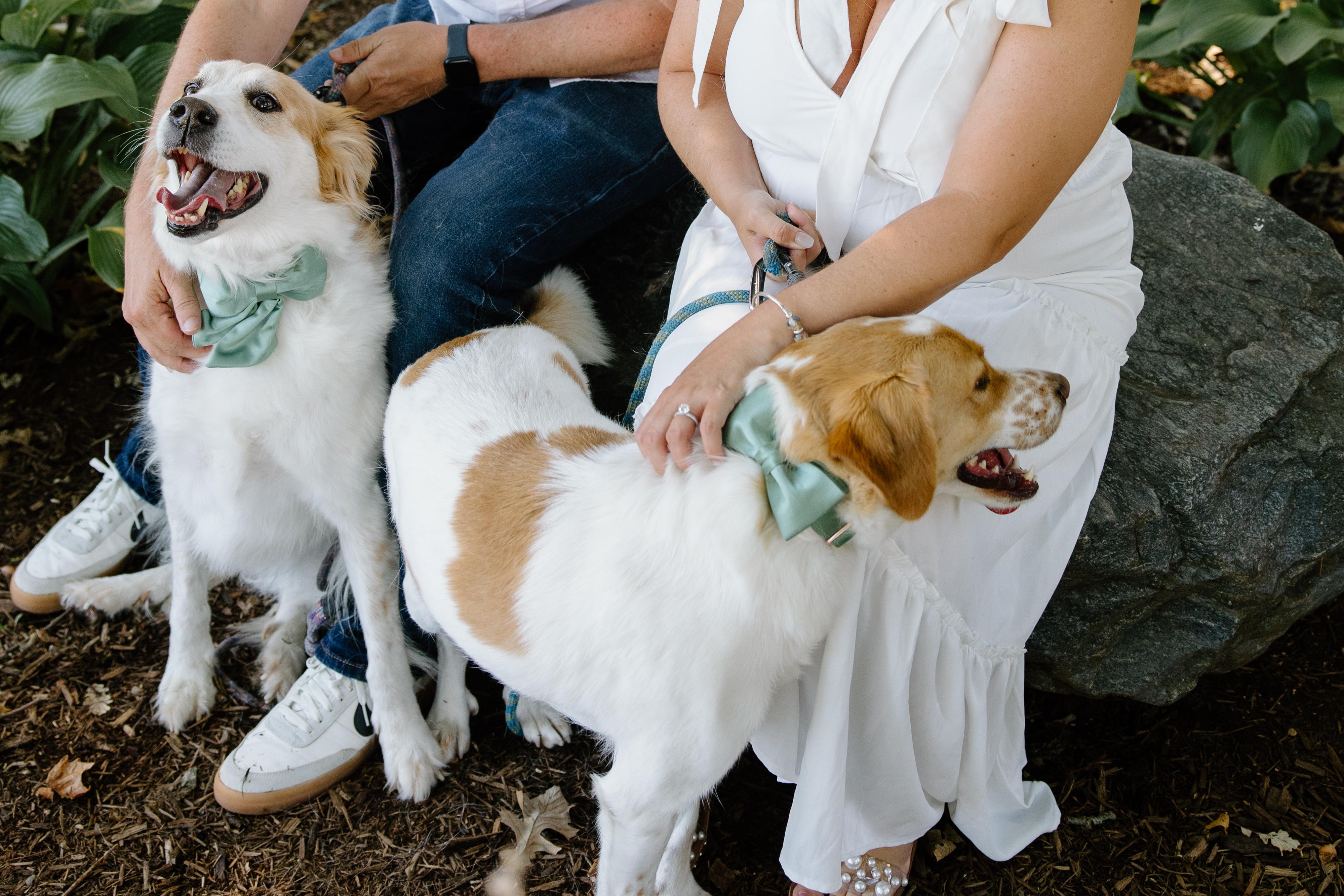 The Wedding Website of Chelsea Reilly and Chris Adams
