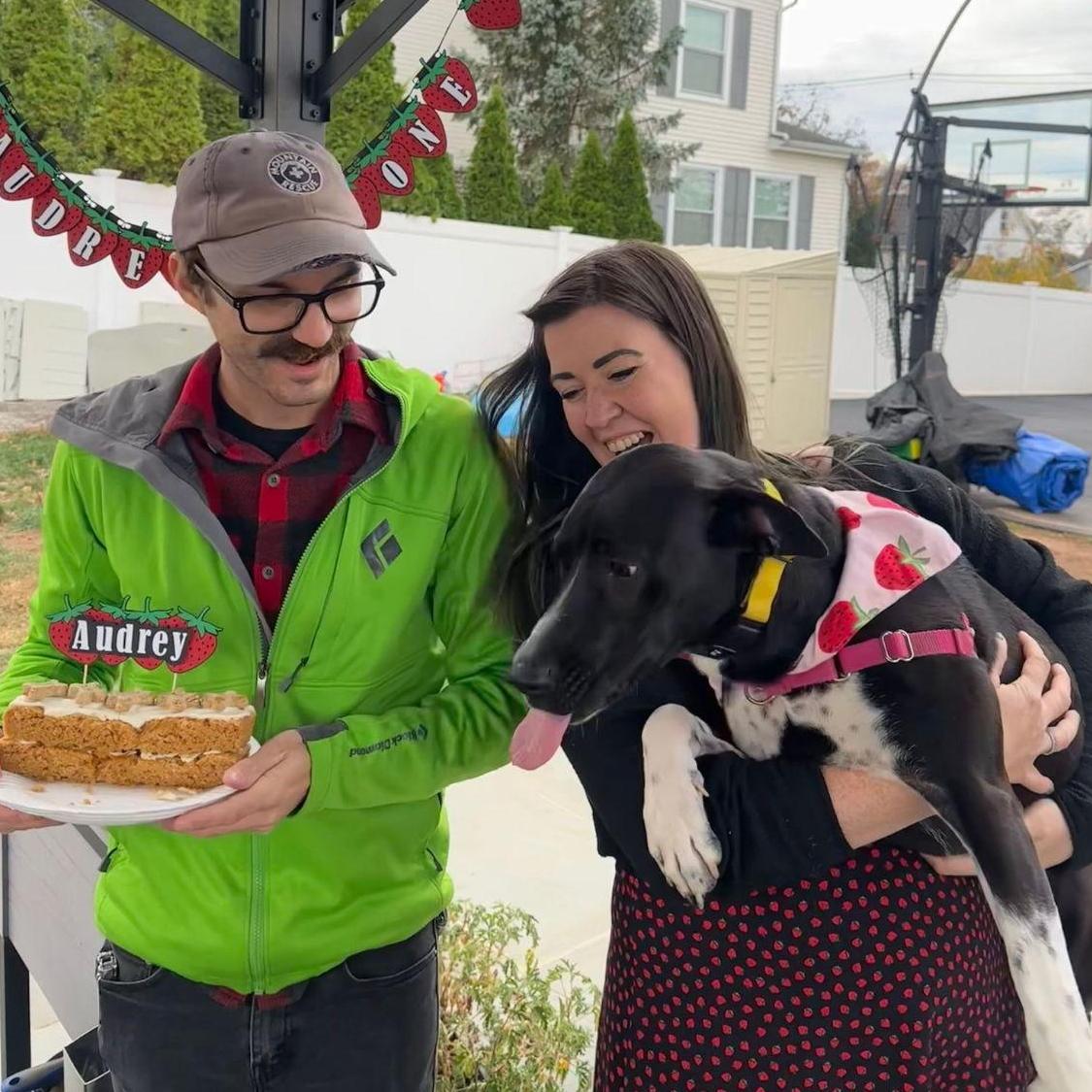 We fell in love with each other at Capri's 4th birthday party, so now all the dogs will be getting a party! Happy 1st birthday to Audrey!