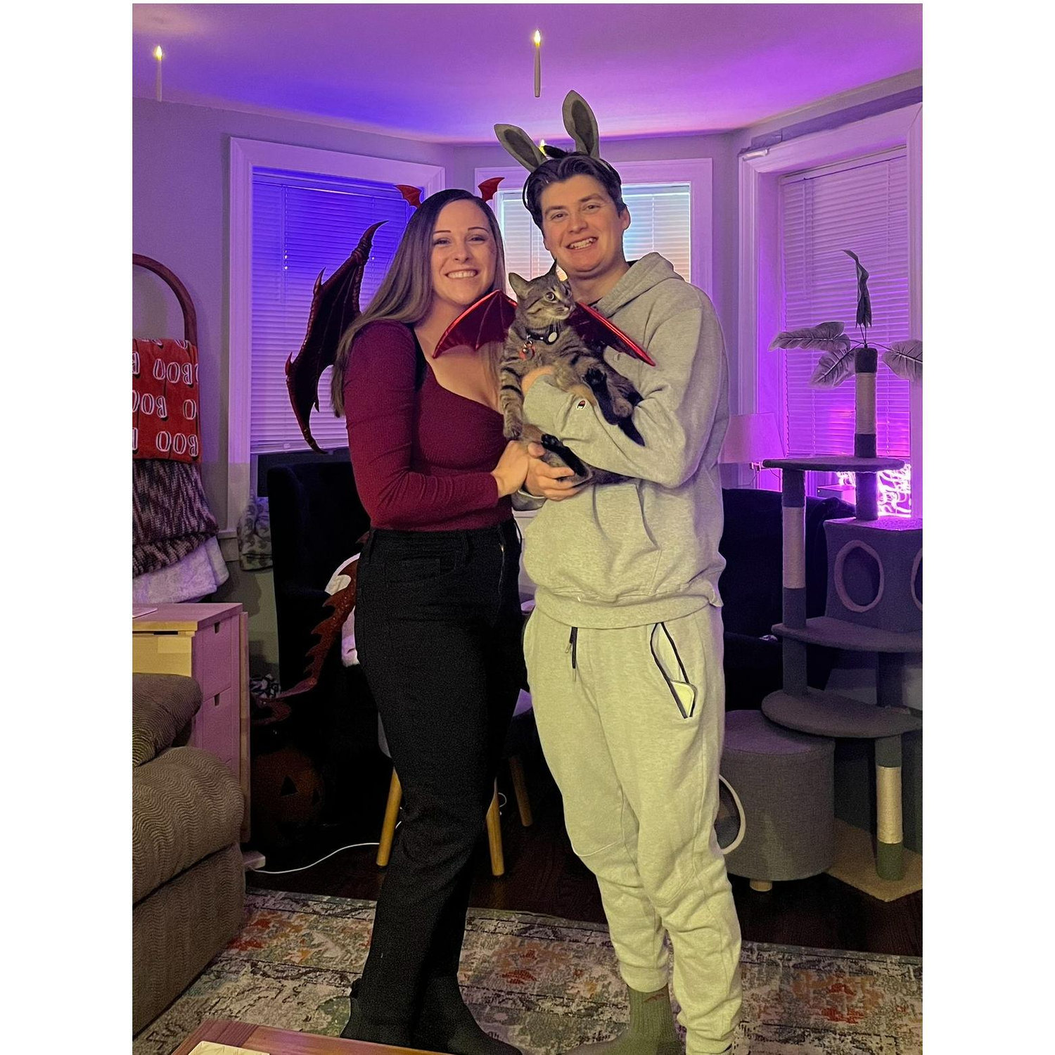 Halloween 2024: Dragon, Donkey, and their dragon-donkey baby from Shrek!