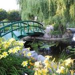 Michigan State University Botanical Garden