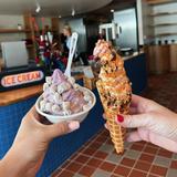 Zeds Real Fruit Ice Cream