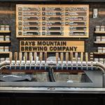 Bays Mountain Brewing Company