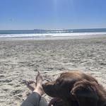 Dog Beach