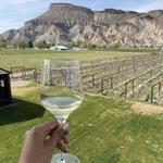 Explore Palisade with Pali-Tours!