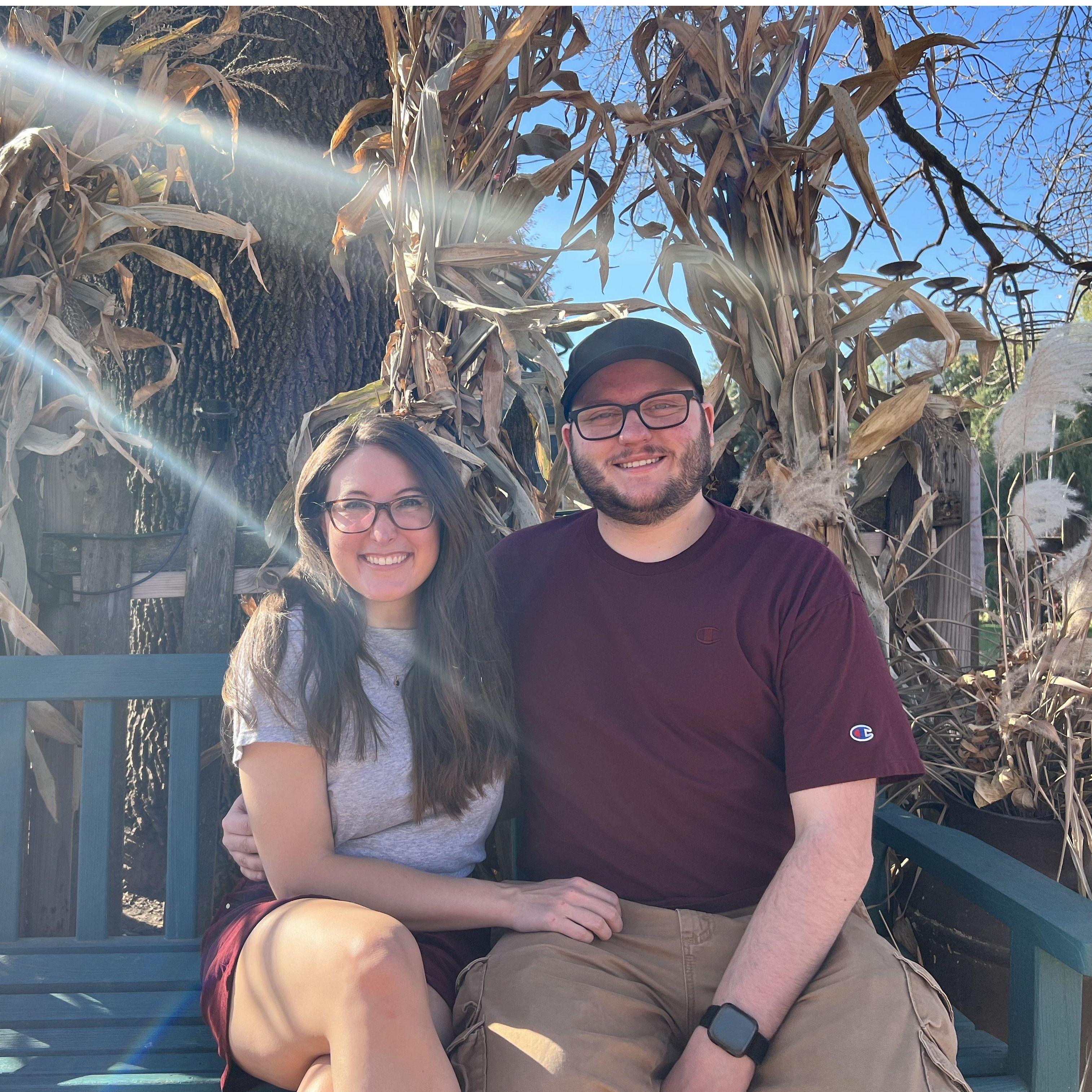 Fall Corn Mazes