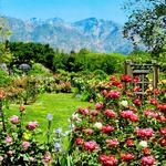 Descanso Gardens